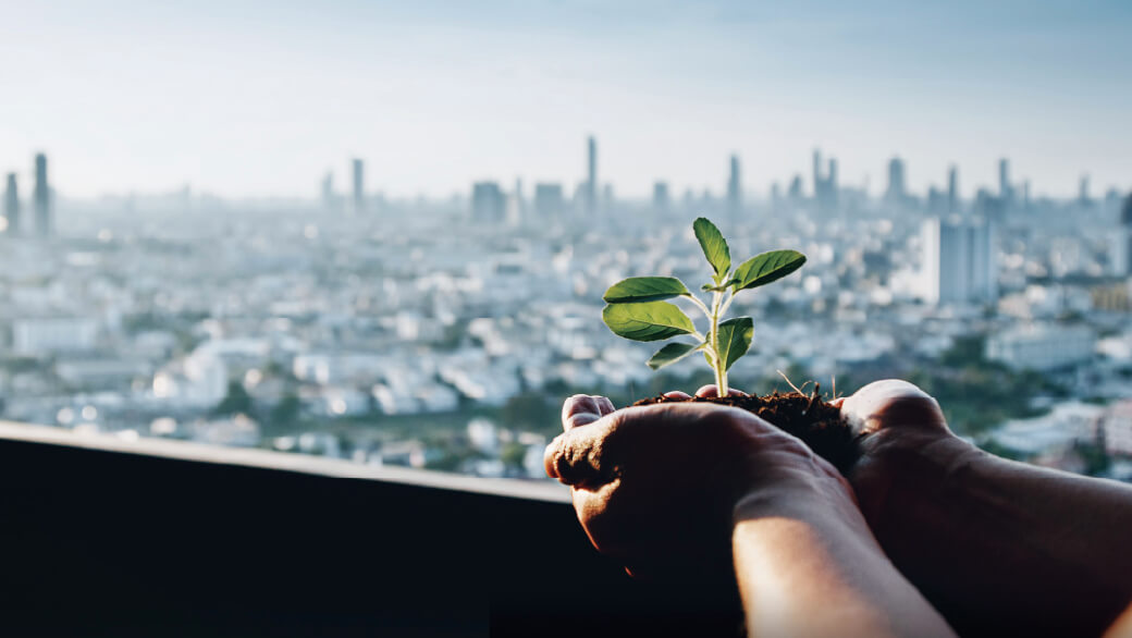 A photograph of hands holding fresh green leaves