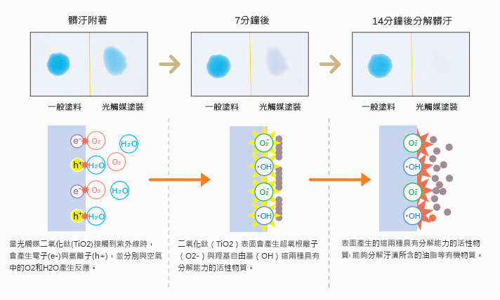 加速分解測試